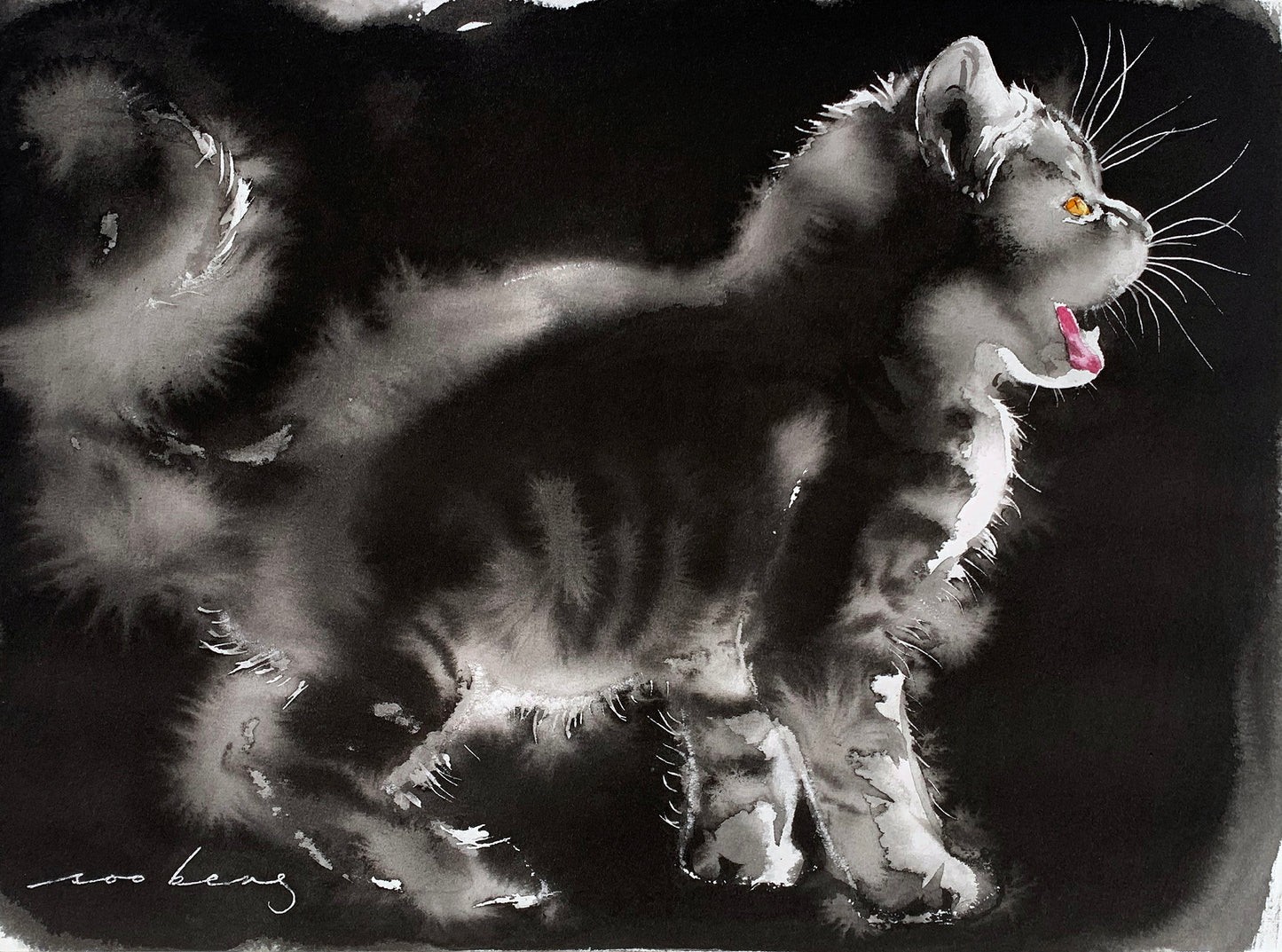 Kitty Radiance