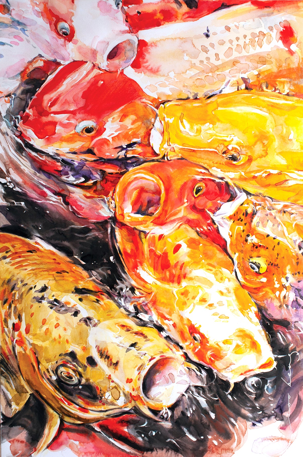 Koi Appeal