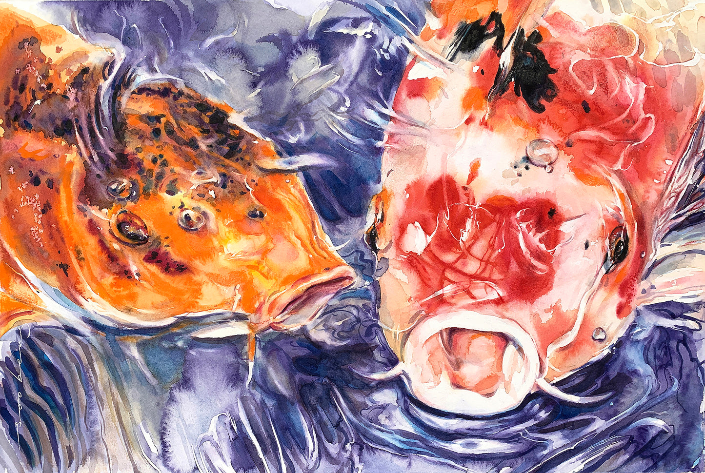 Koi Symphony