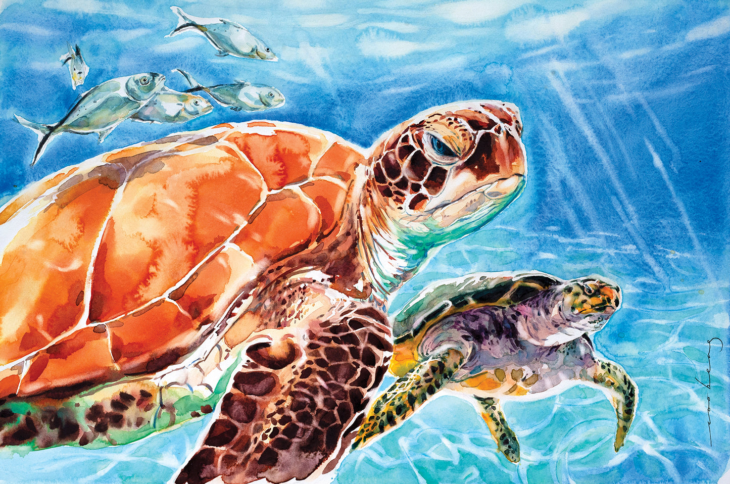 Leatherback