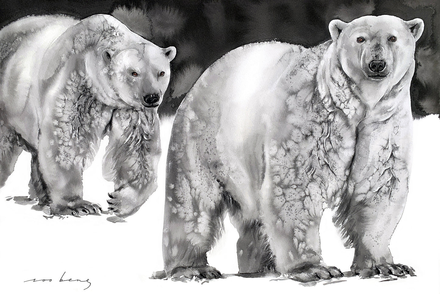 Majestic Companions