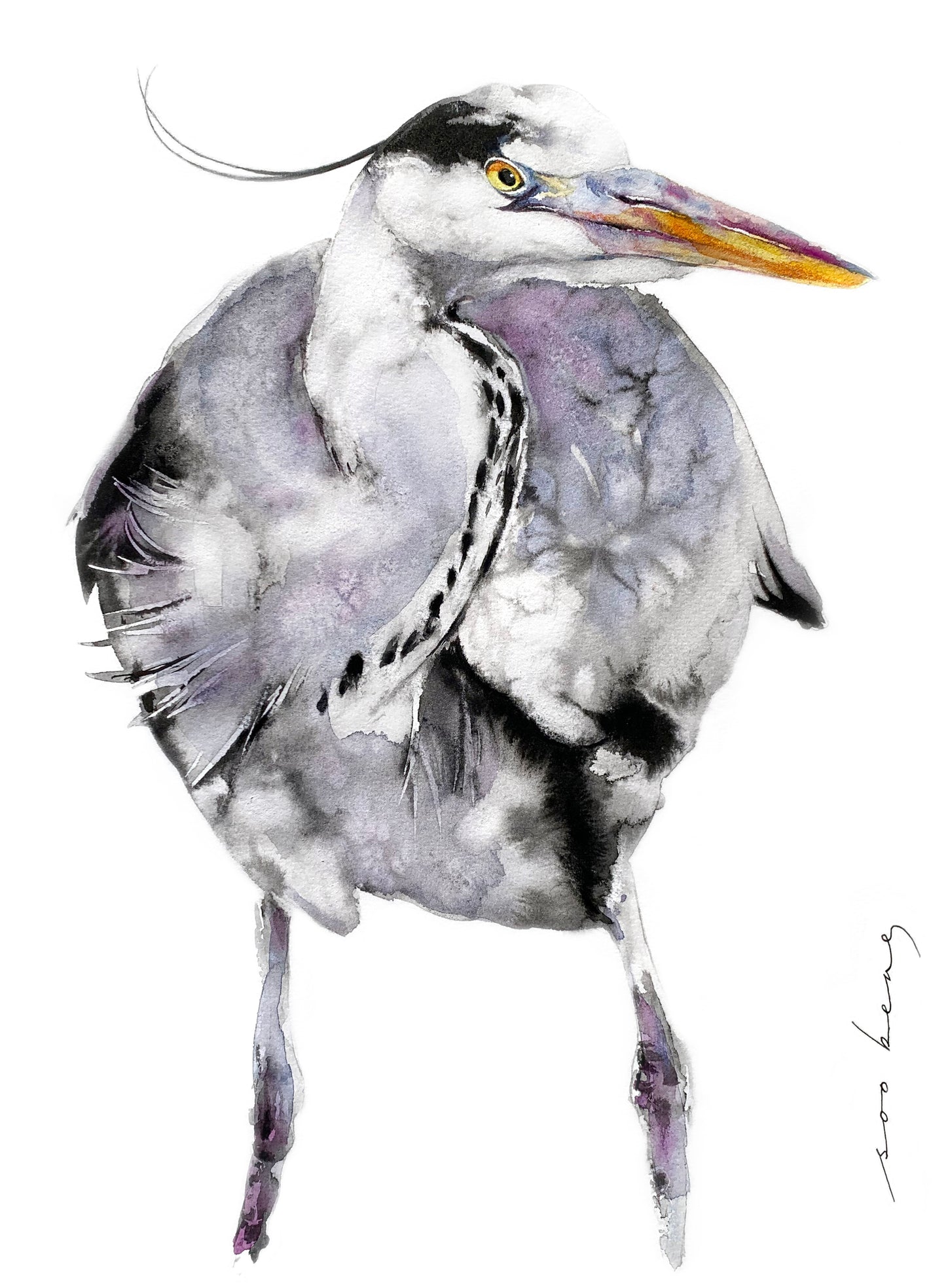 Majesty in Feathers
