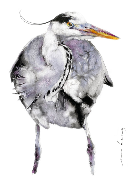Majesty in Feathers