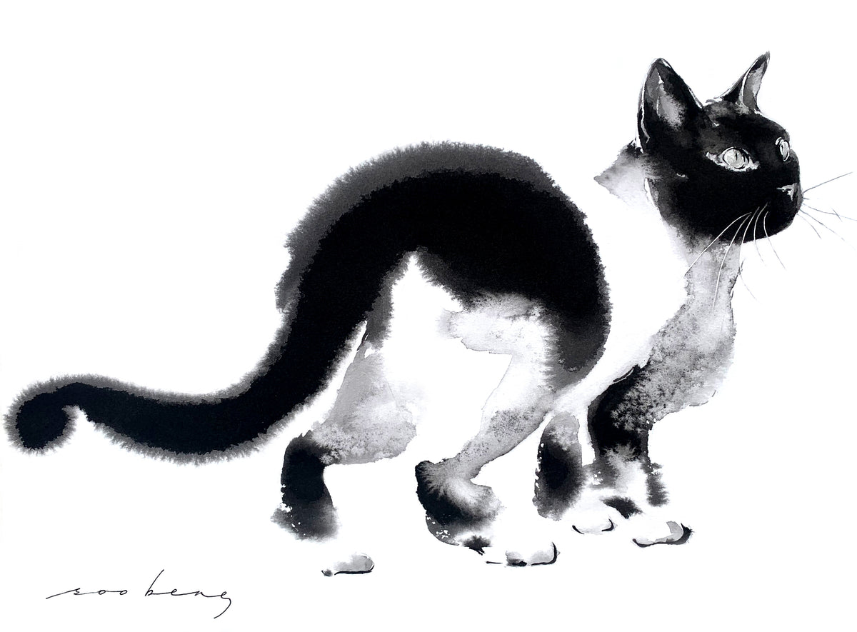 Midnight Prowl