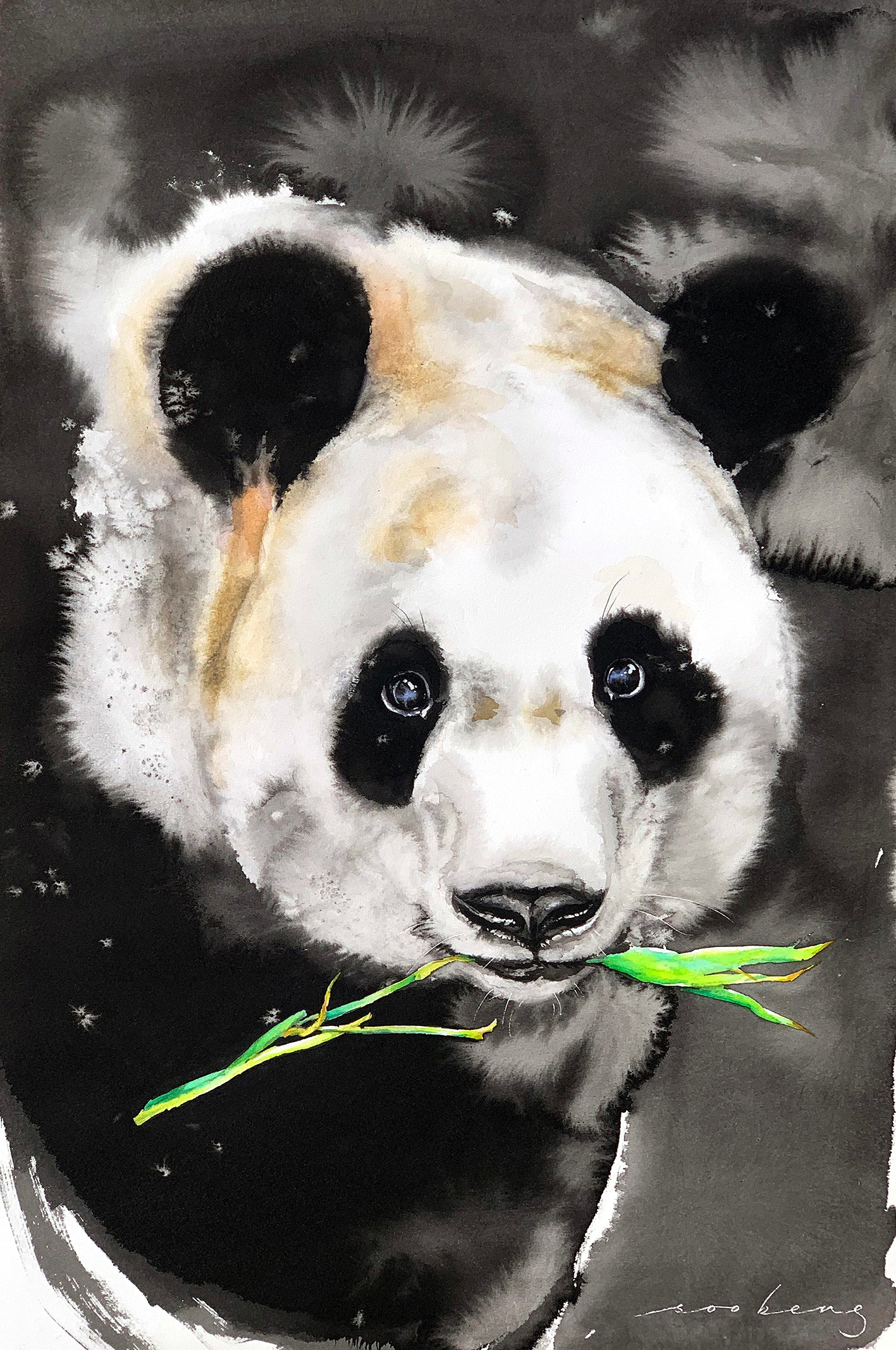 Munching Panda