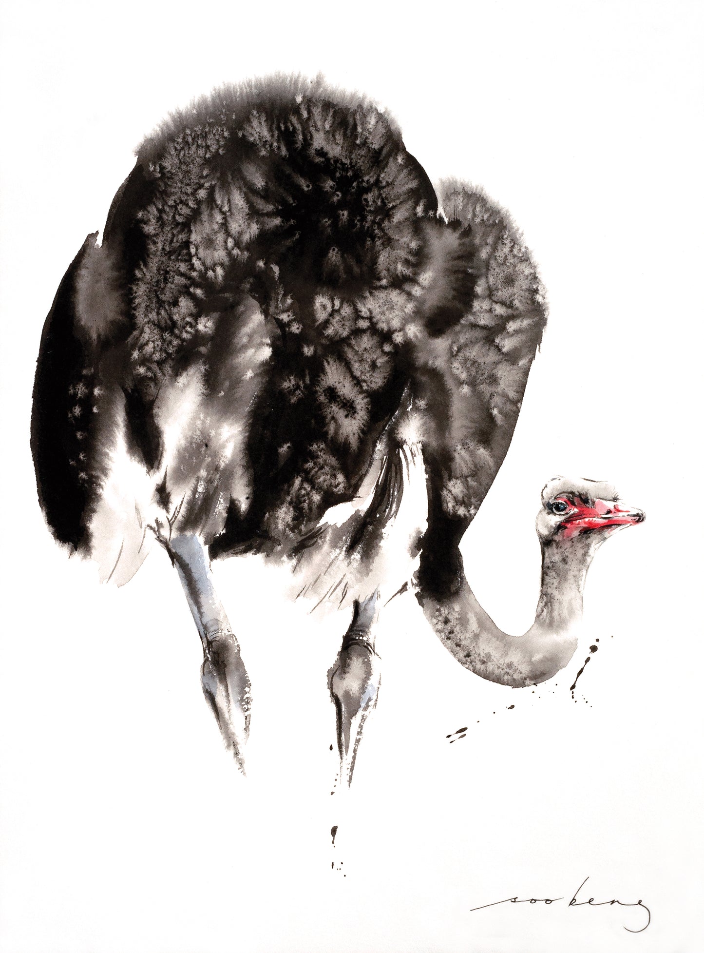 Ostrich