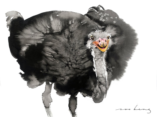 Ostrich Glee