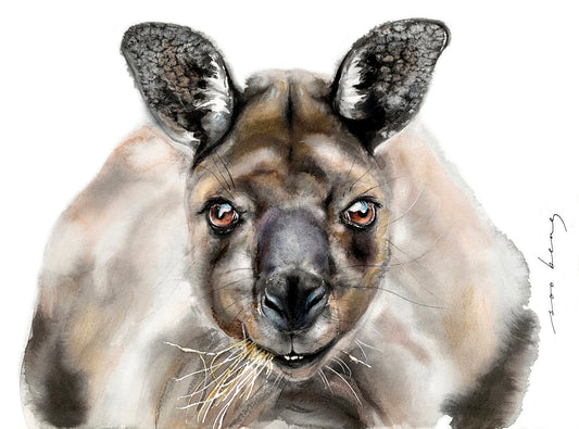 Outback Gaze
