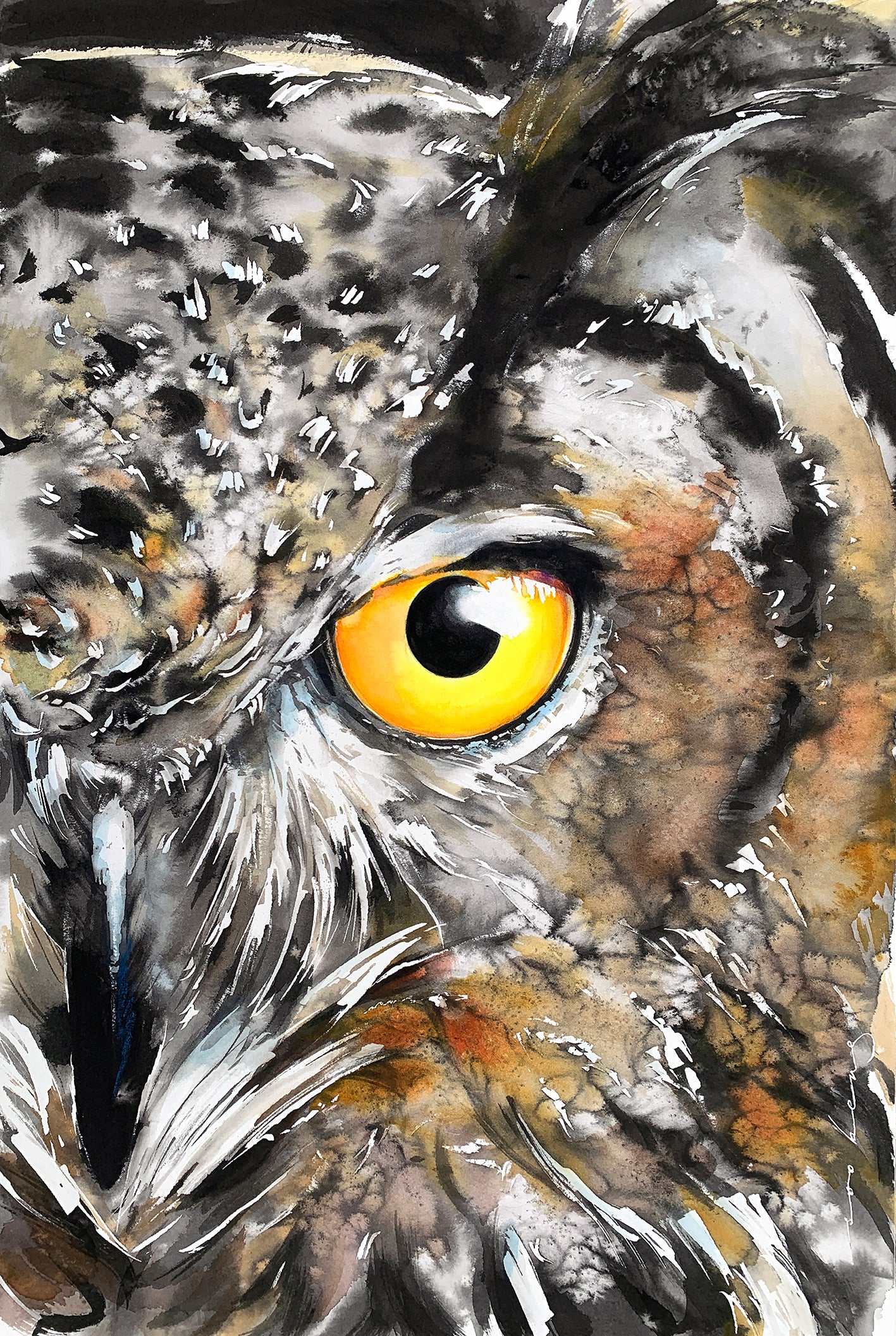 Owl Insight