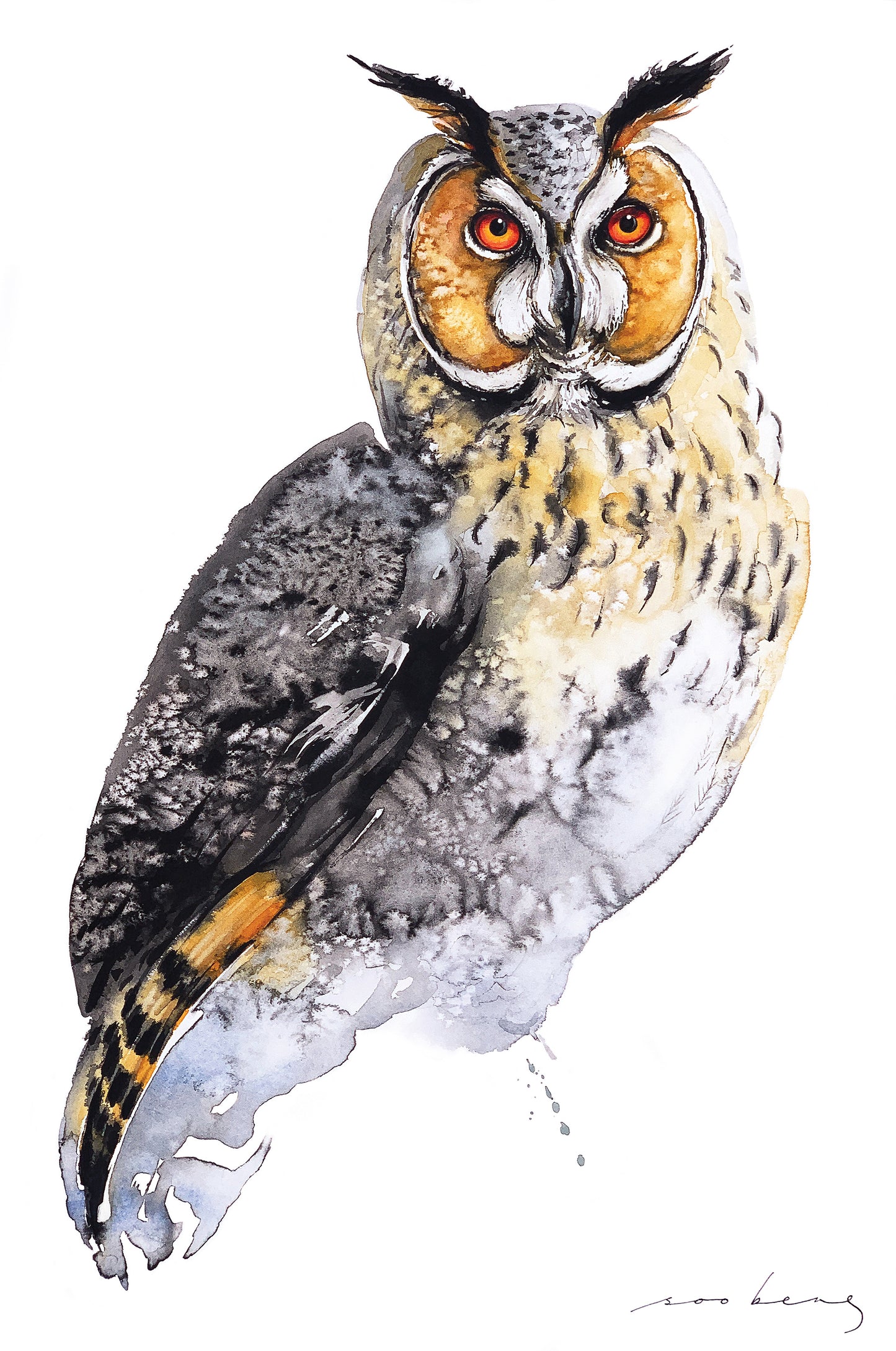 Owl’s Wisdom