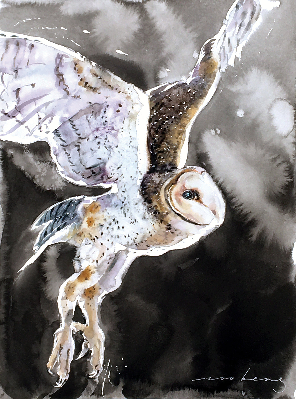 Owlie Flight3