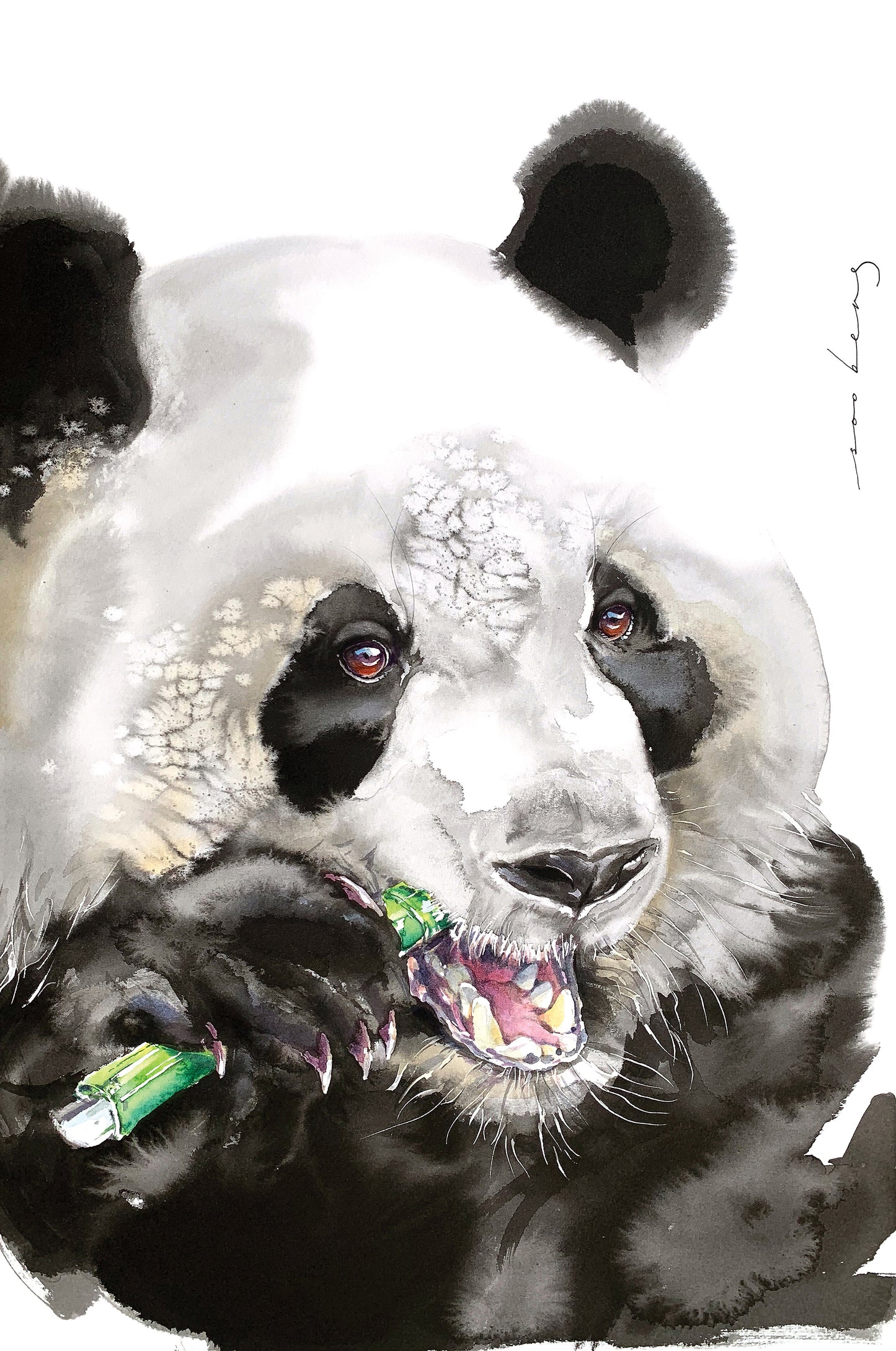Panda Snack