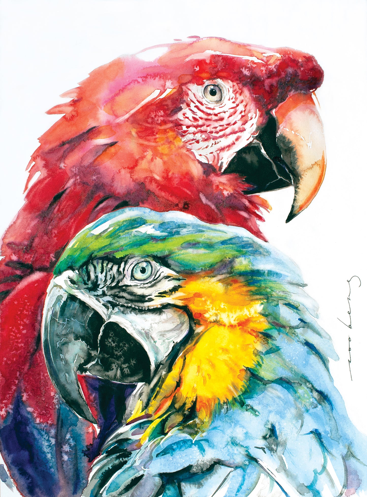 Parrot Splendour