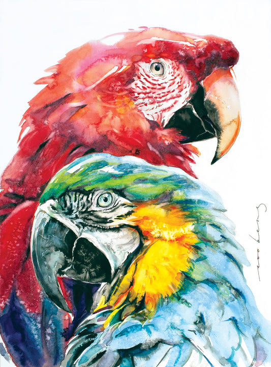 Parrot Splendour