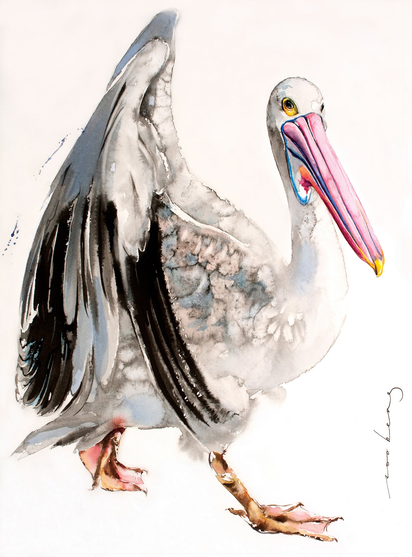Pelican Diva