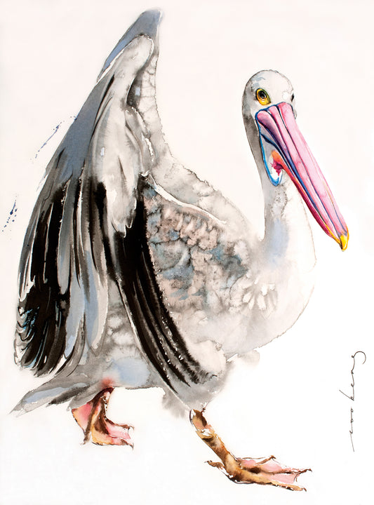 Pelican Diva