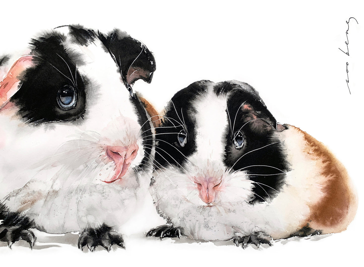 Pigture Perfect