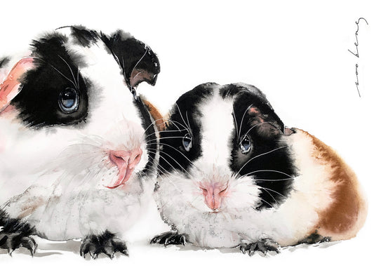 Pigture Perfect