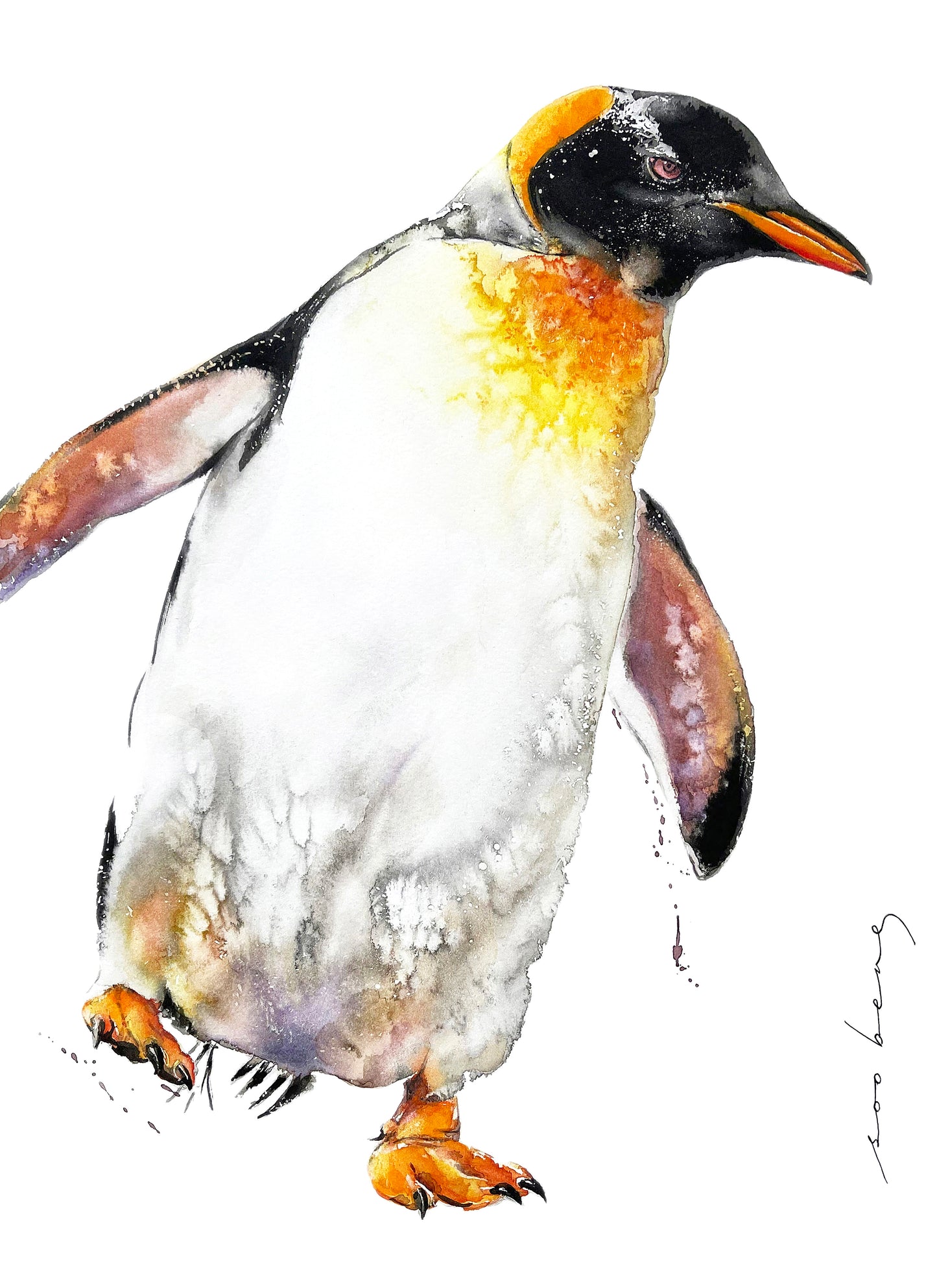 Quickflap Penquin