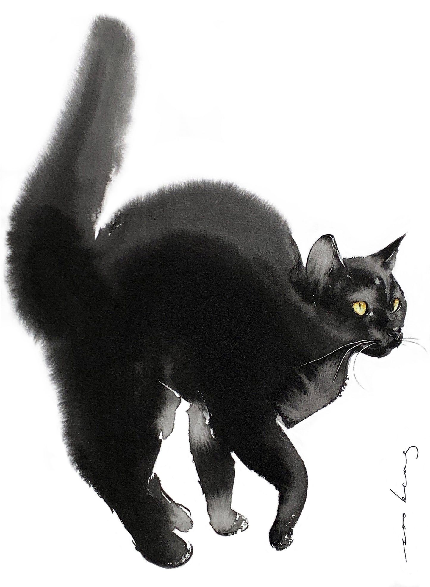 Ready Cat Go2
