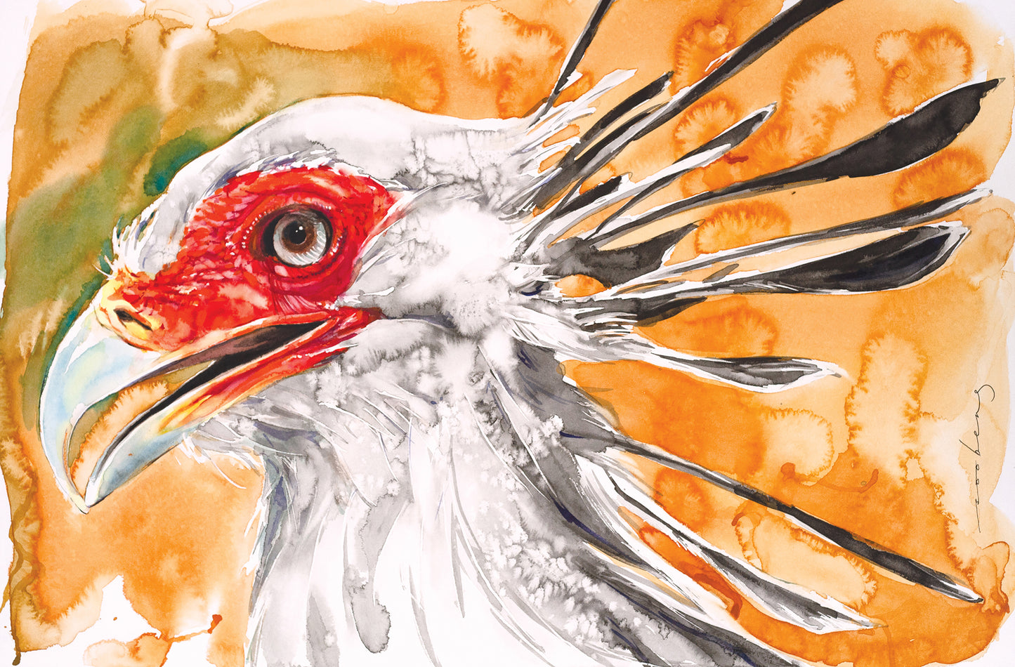 Secretary Bird