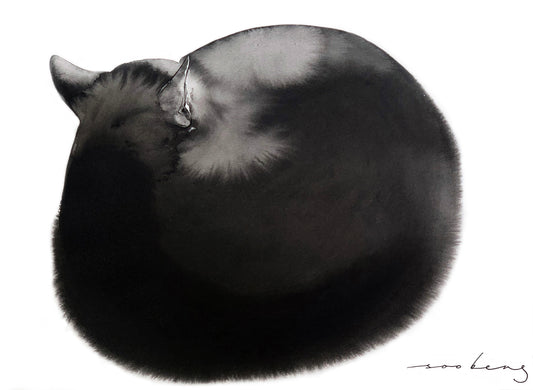 Siesta3