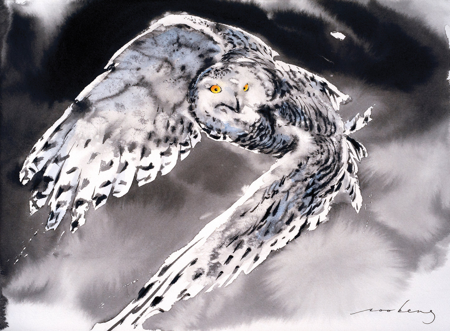 Snowy Owl2
