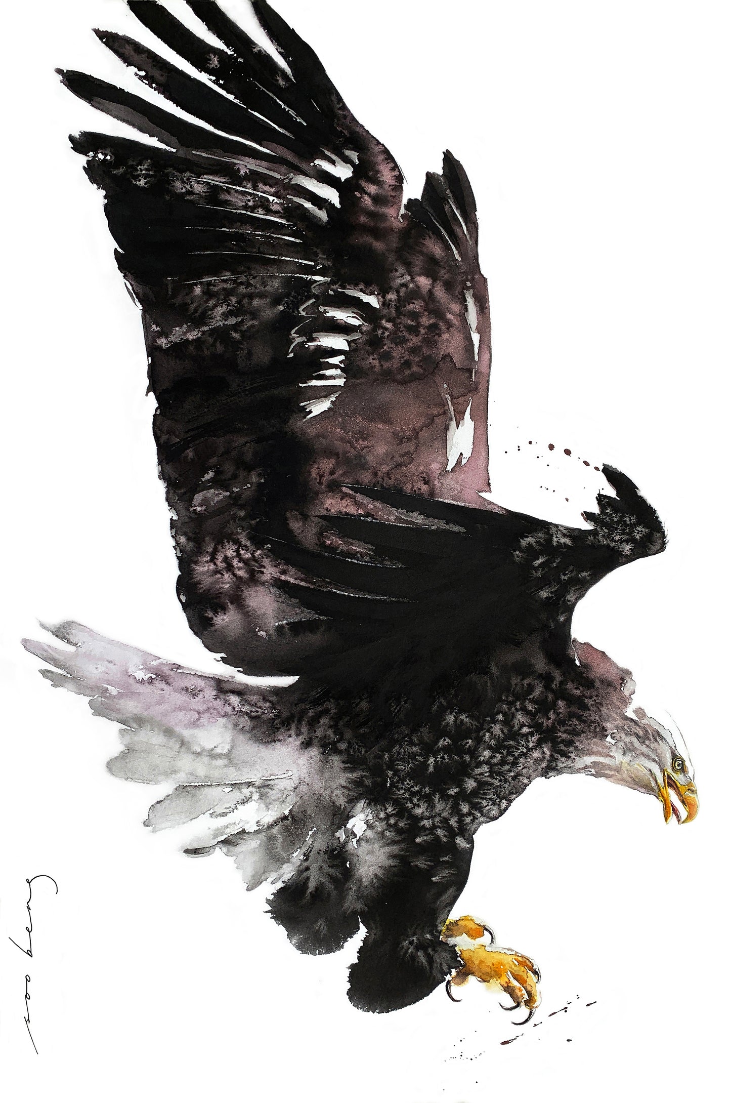 Soaring Spirit