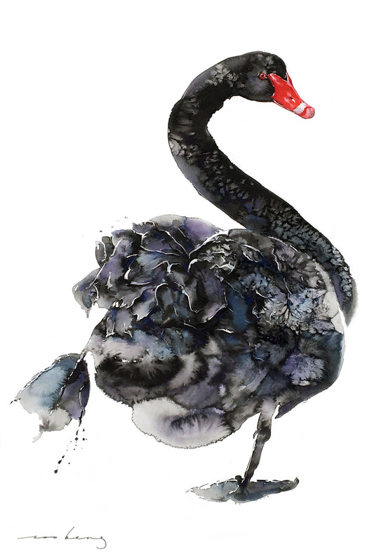 Swan Arabesque