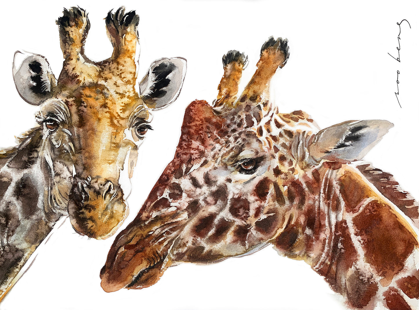 The Gentle Giants