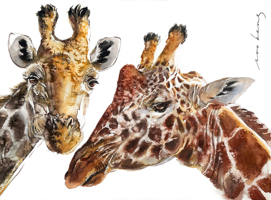 The Gentle Giants