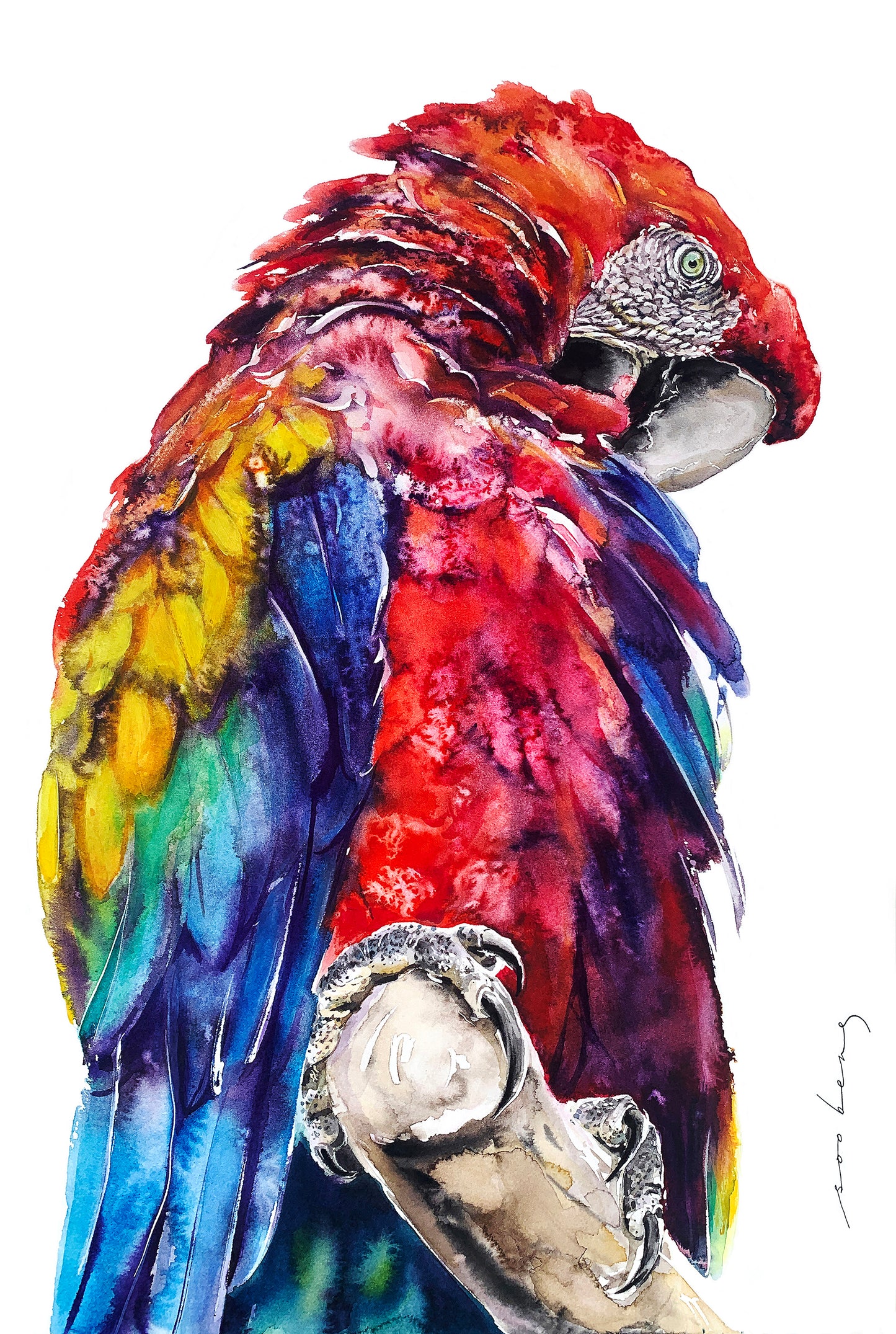 The Vibrant Voice
