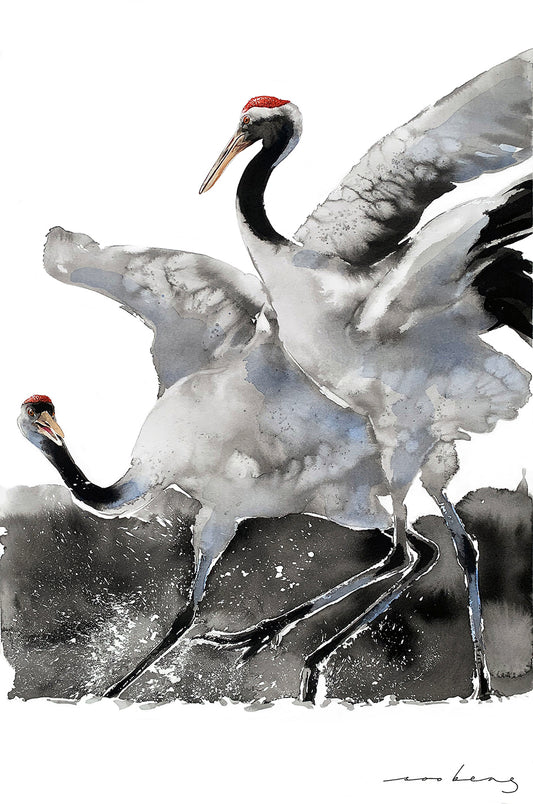 Waltz of Wings