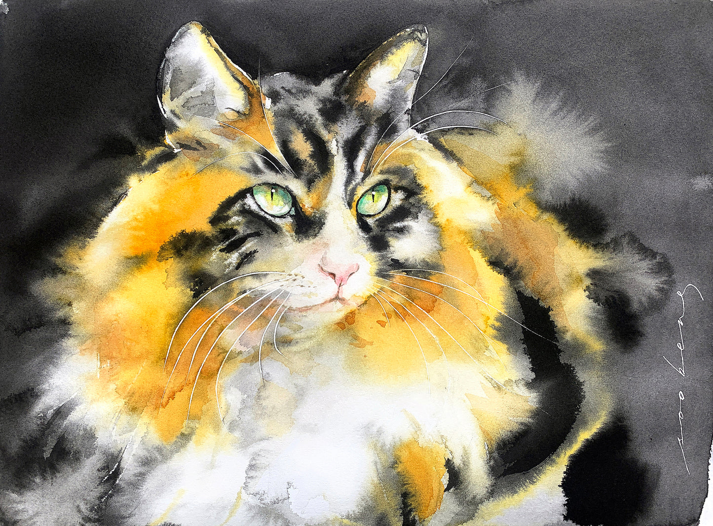Whiskered Wonder