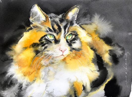 Whiskered Wonder
