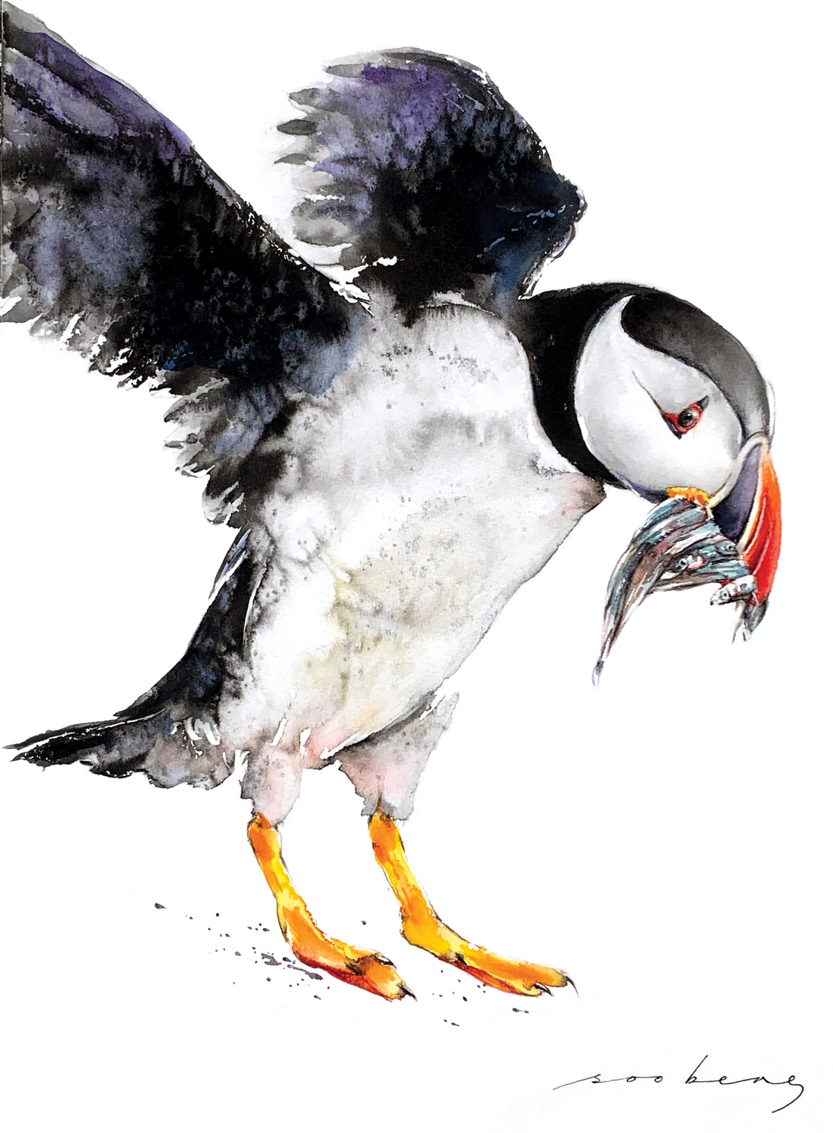 Winged Catch