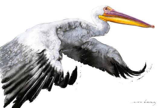 Wings Aloft
