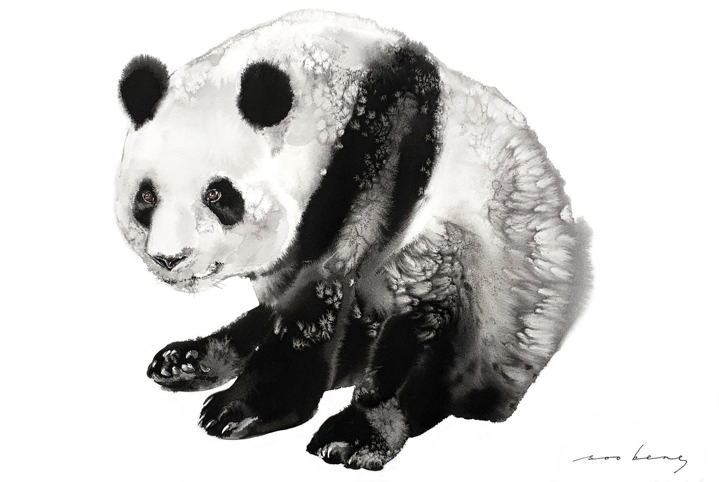Zen Panda Pose
