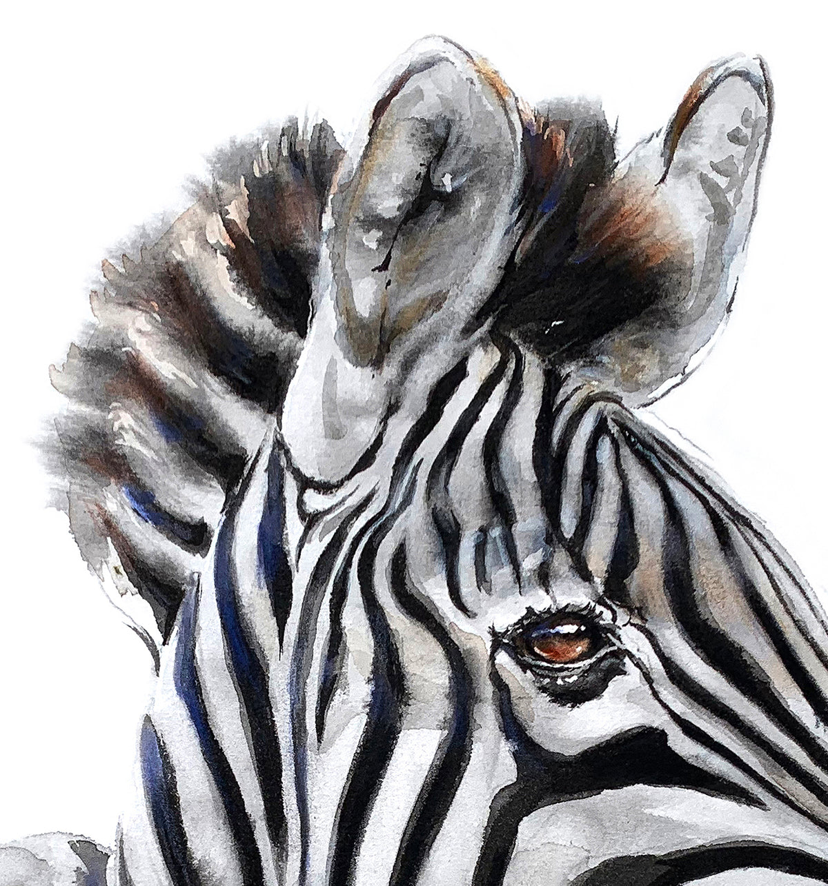Striped Majesty