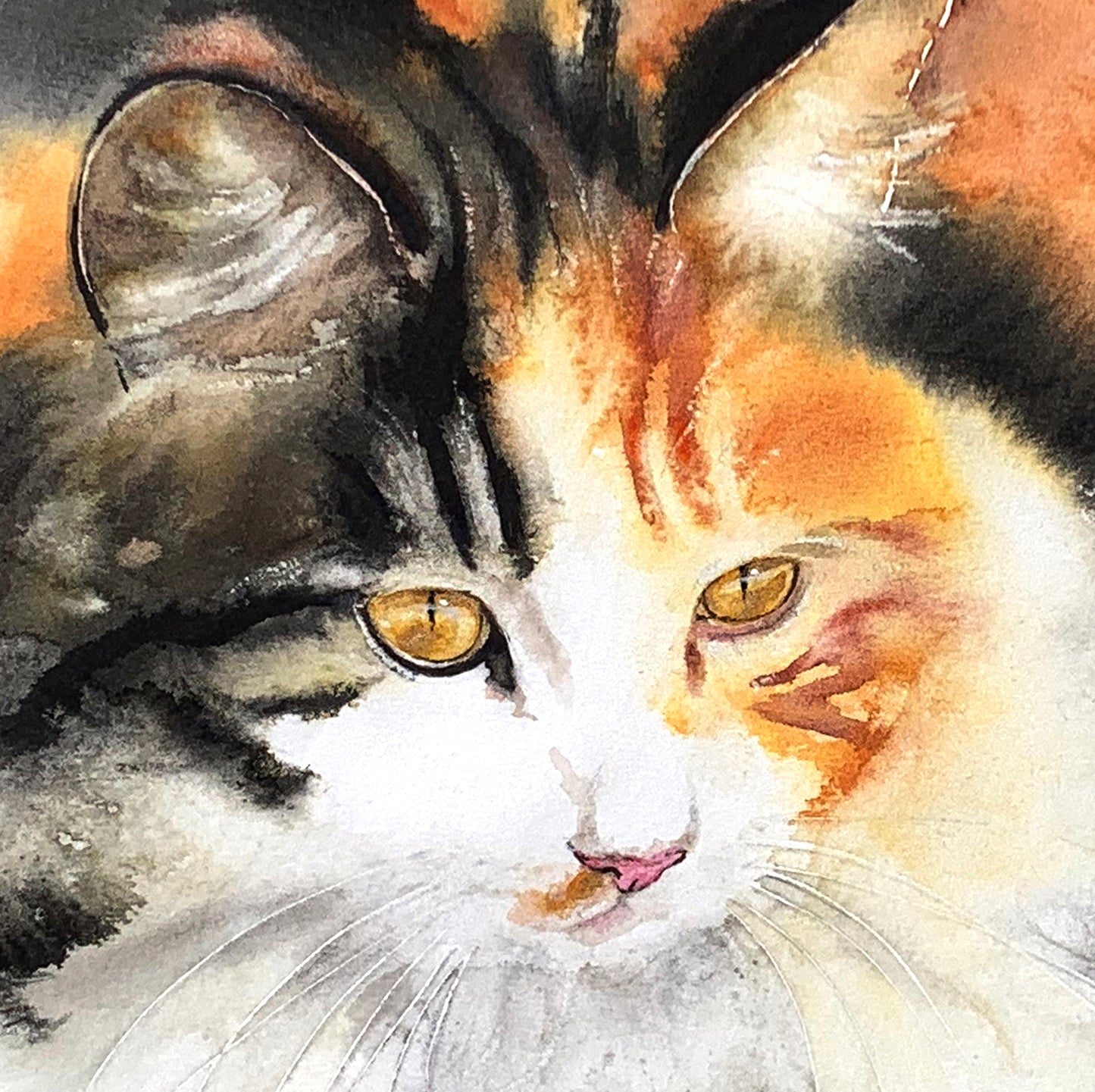Amber Gaze