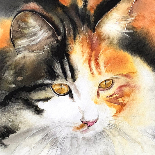 Amber Gaze